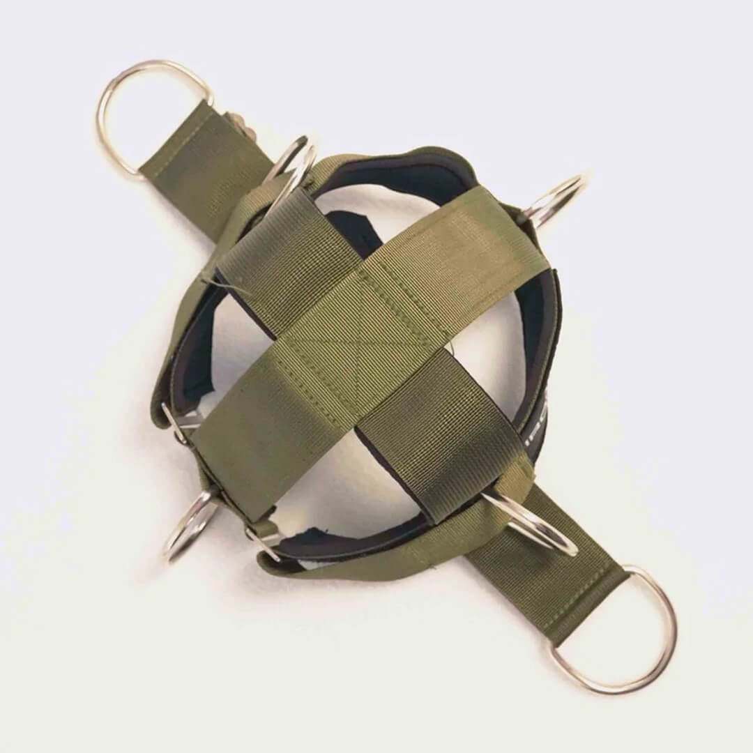 Iron Neck Alpha Harness - Image 4