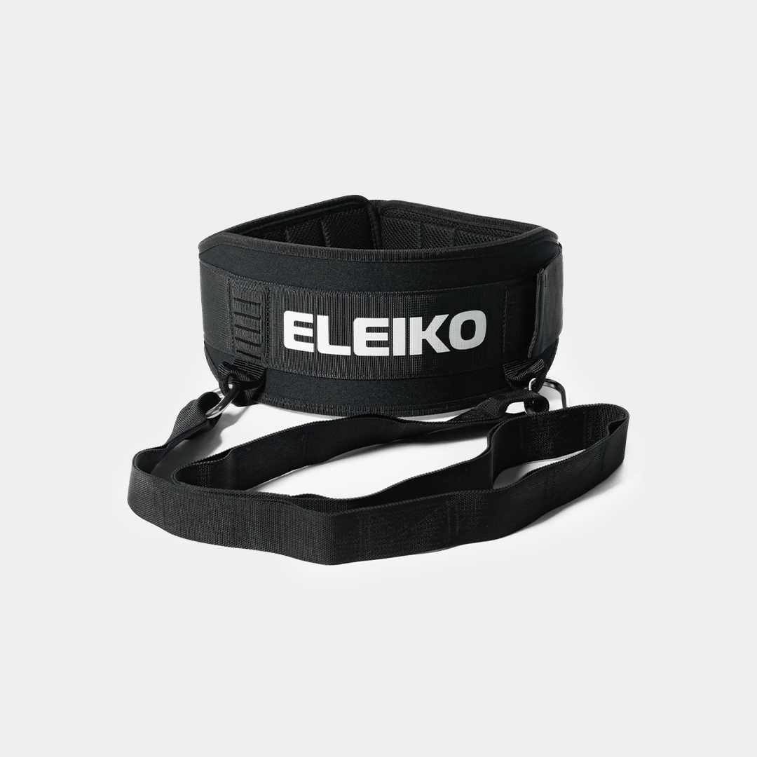 WEB – Eleiko Dip Belt, Black, Small and Large